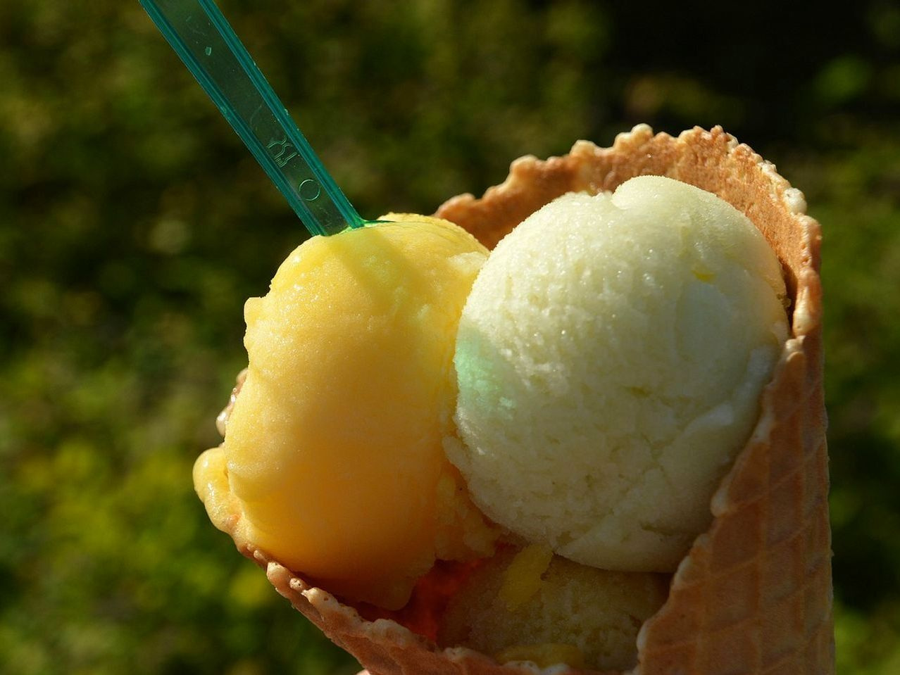 Sabores de verano