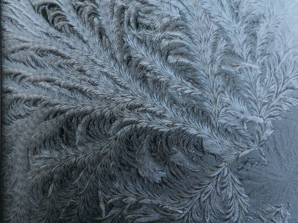 Gelato de chocolate negro belga con textura aterciopelada
