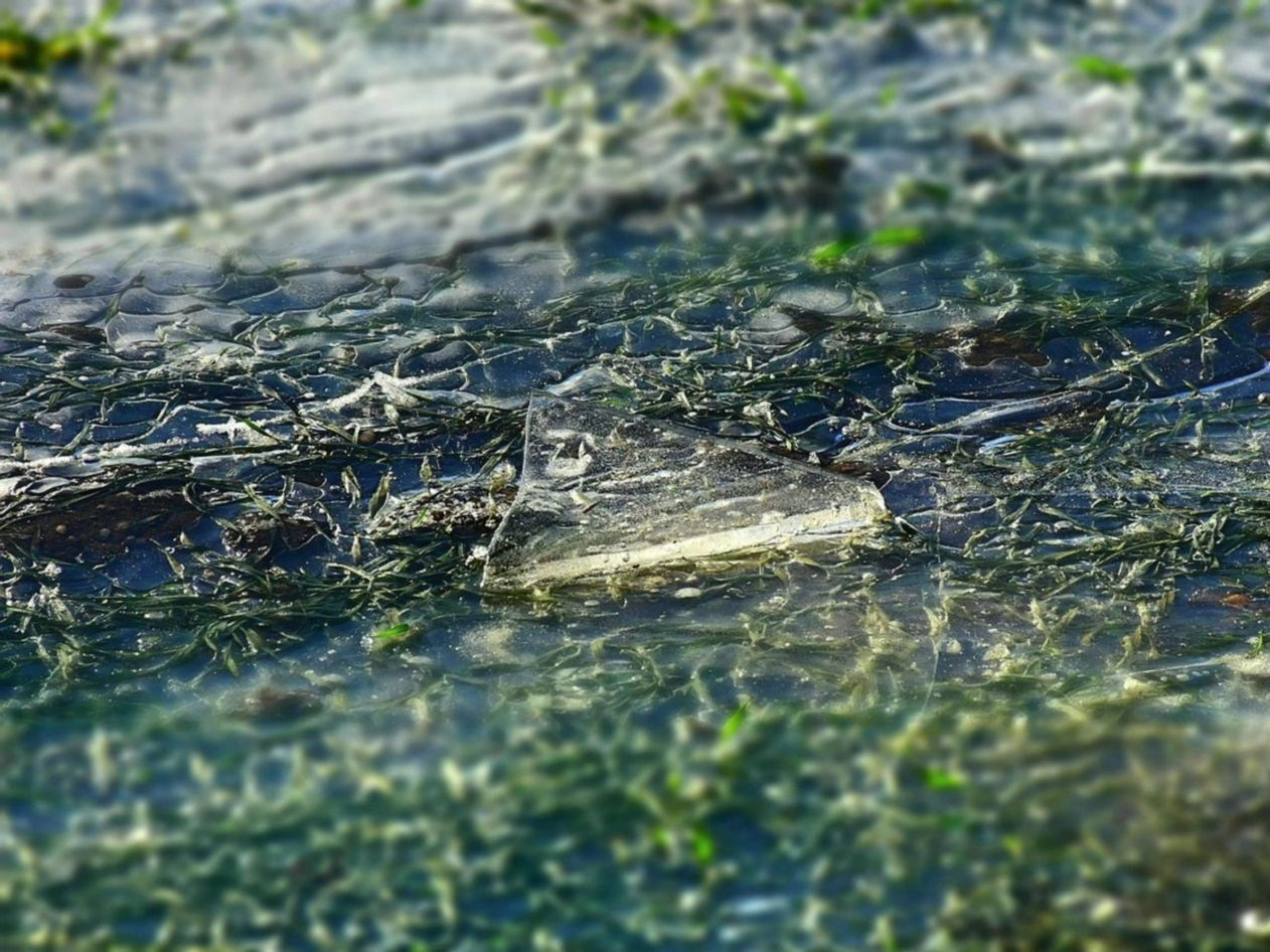 Pescadores caminhando até o ponto de pesca no gelo